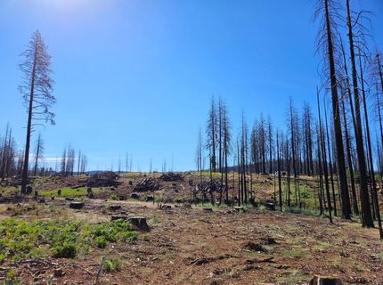 5144 String Canyon Ct, Grizzly Flats, CA 95636 Photo