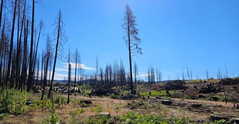 5144 String Canyon Ct, Grizzly Flats, CA 95636 Photo