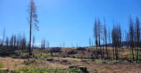 5144 String Canyon Ct, Grizzly Flats, CA 95636 Photo