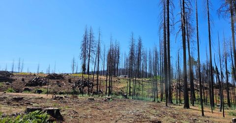 5144 String Canyon Ct, Grizzly Flats, CA 95636 Photo