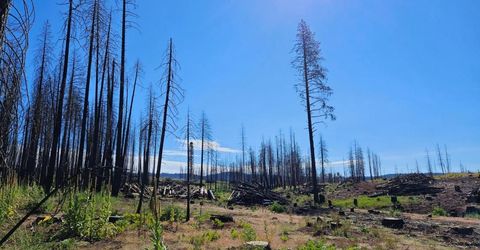 5144 String Canyon Ct, Grizzly Flats, CA 95636 Photo