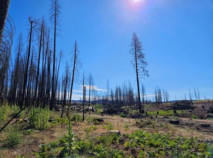 5144 String Canyon Ct, Grizzly Flats, CA 95636 Photo