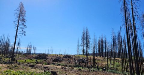 5144 String Canyon Ct, Grizzly Flats, CA 95636 Photo