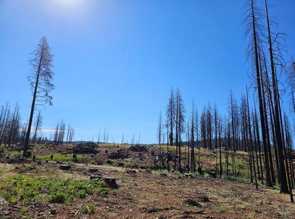 5144 String Canyon Ct, Grizzly Flats, CA 95636 Photo