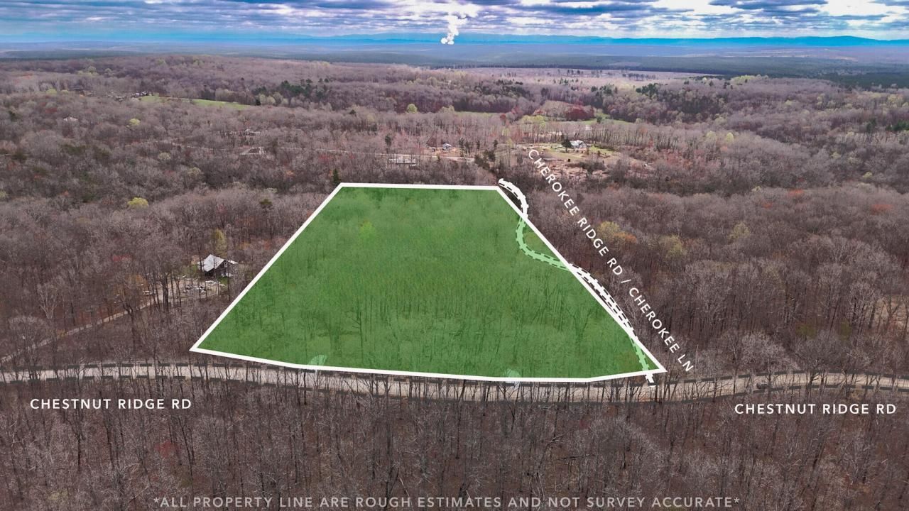 1139 Chestnut Ridge Road, Spring City, TN 37381 Main Photo