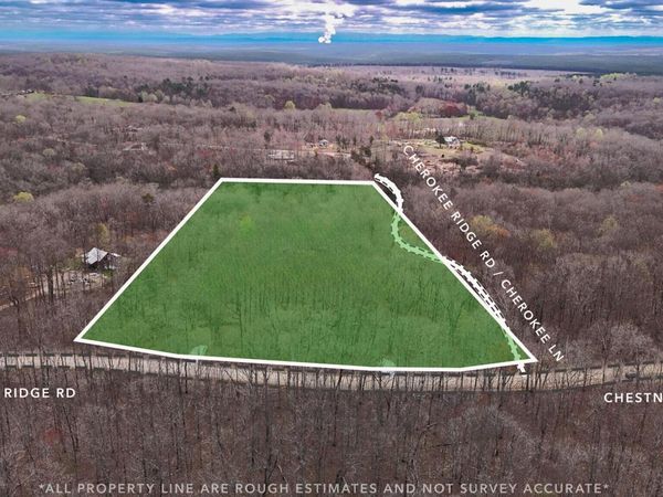 1139 Chestnut Ridge Road, Spring City, TN 37381