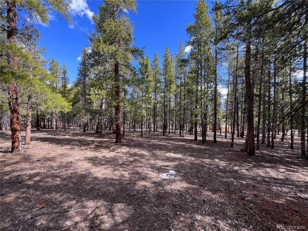 30336 National Forest Drive, Buena Vista, CO 81211