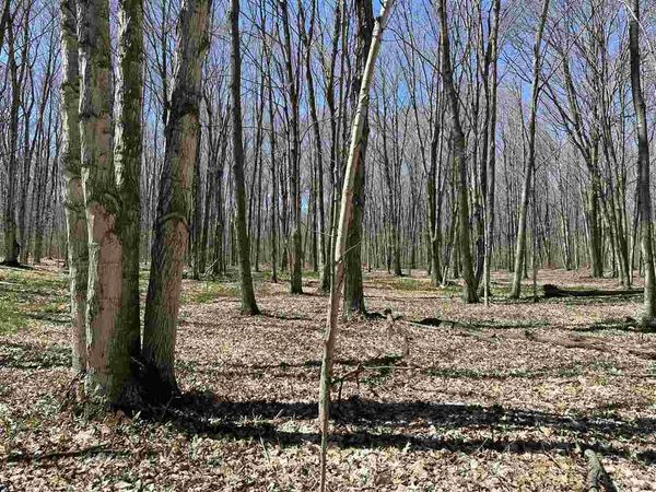 TBD West Side Drive, Beaver Island, MI 49782