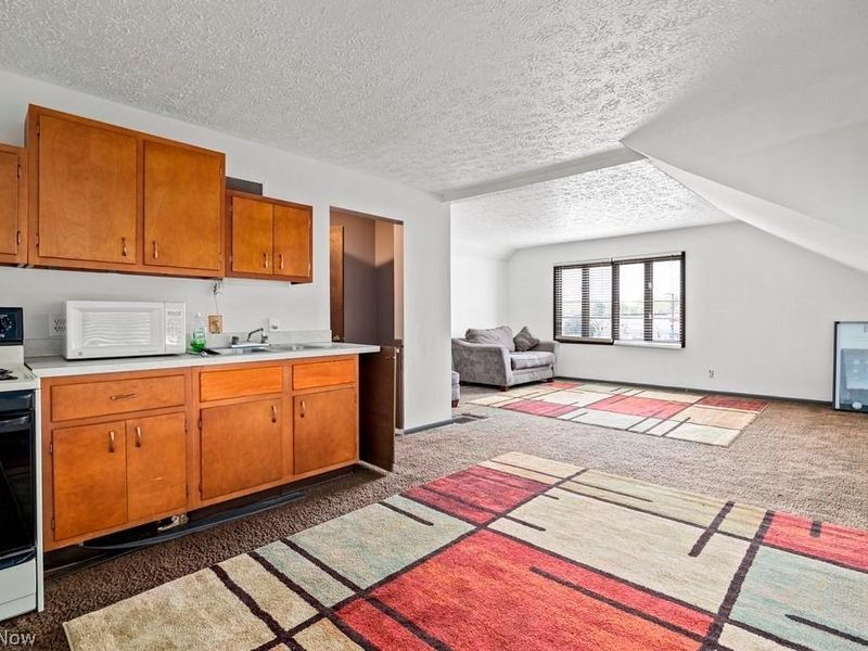 436 Cleveland Street, Elyria, OH 44035 Photo 29