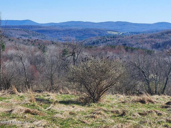 L2 Lang Road, Summit, NY 12175