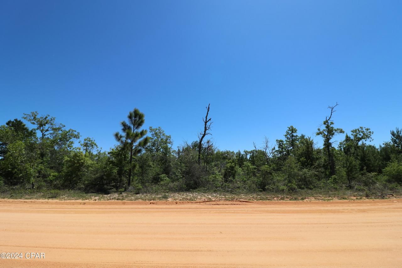 Lot 13 Petty Road, Marianna, FL 32448 Main Photo