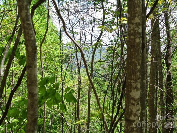 0 Pond Road, Spruce Pine, NC 28777