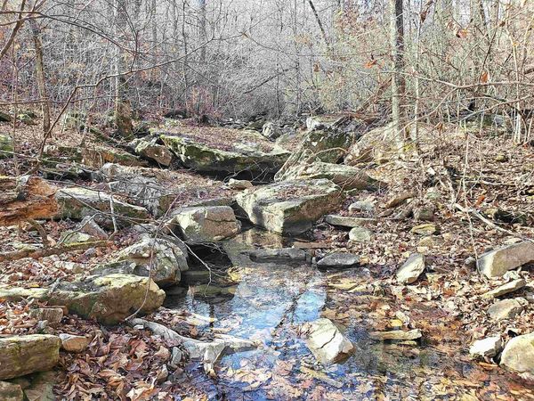 00 witt springs, Witt Springs, AR 72650