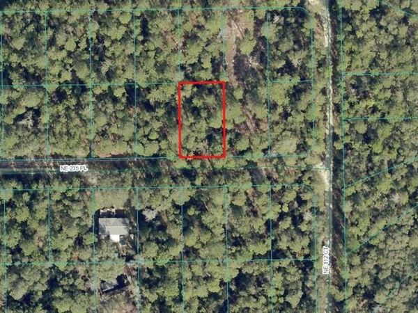 00 NE 235TH PLACE, FORT MC COY, FL 32134