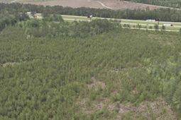 O Acorn Road photo 4