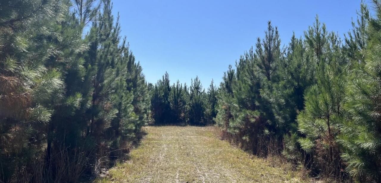 O Acorn Road Photo 4