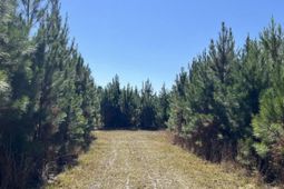 O Acorn Road photo 4