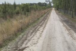 O Acorn Road photo 4