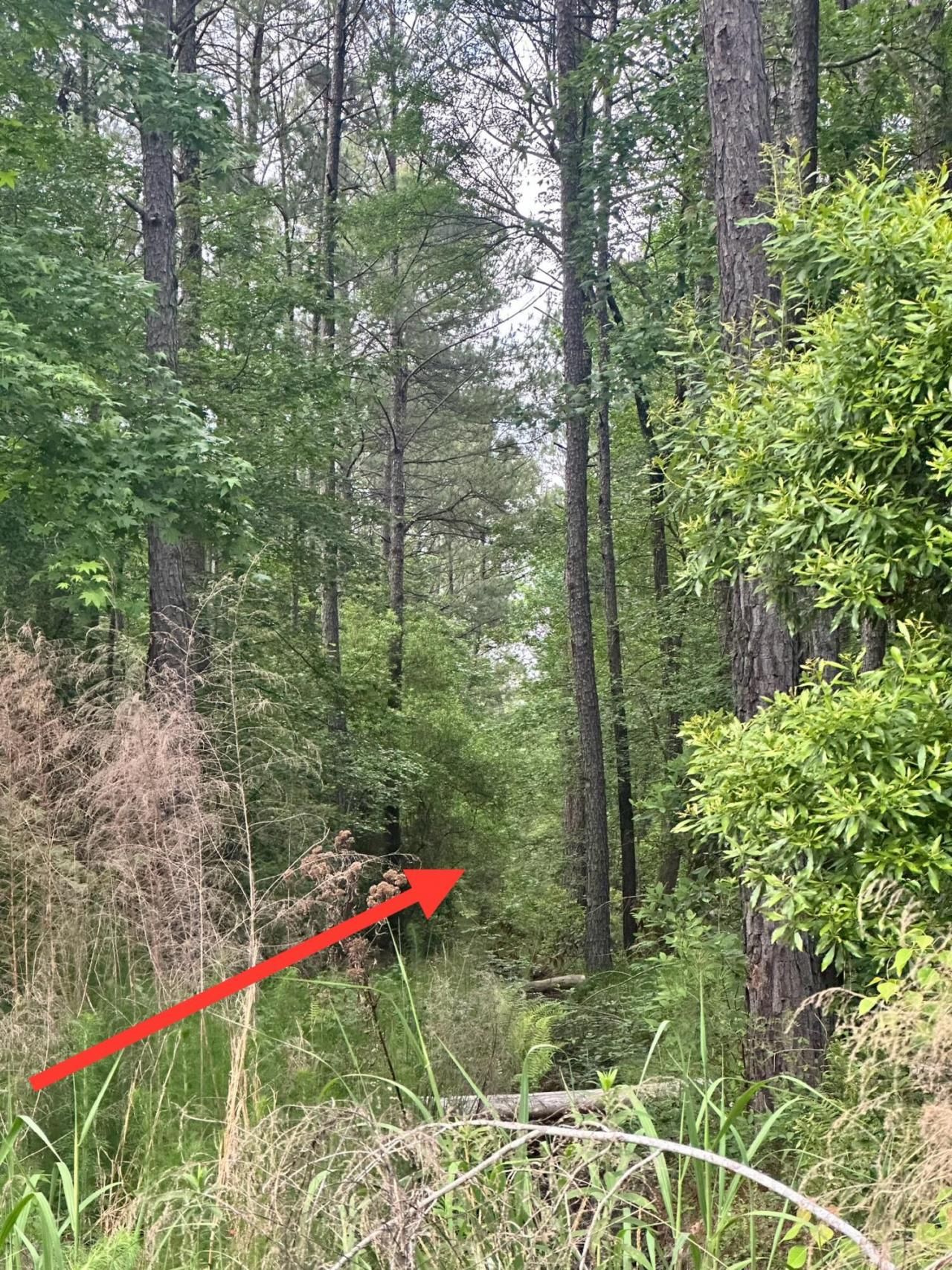 0 Highway 176 Photo 4