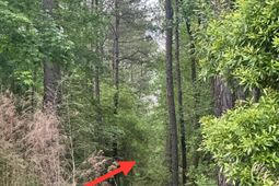 0 Highway 176 photo 4