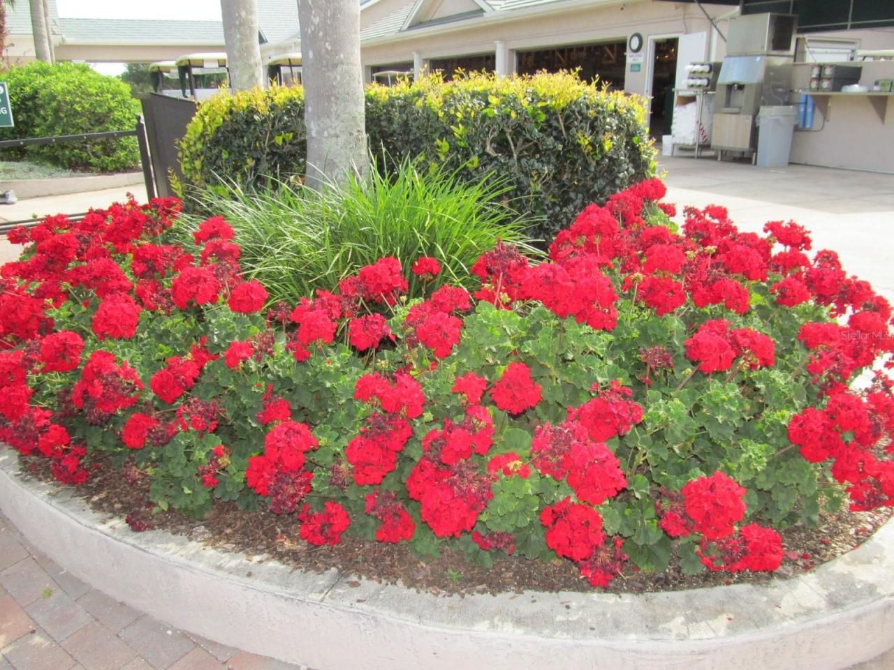 6503 Stone River Road, Unit 109, Bradenton, FL 34203 Photo