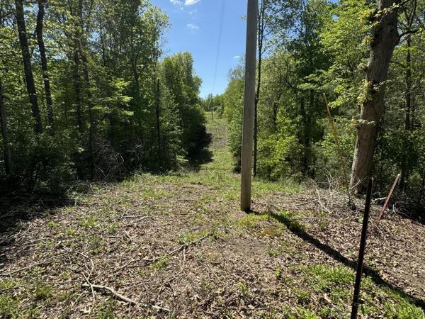 Honey Creek Loop Rd, Robbins, TN 37852