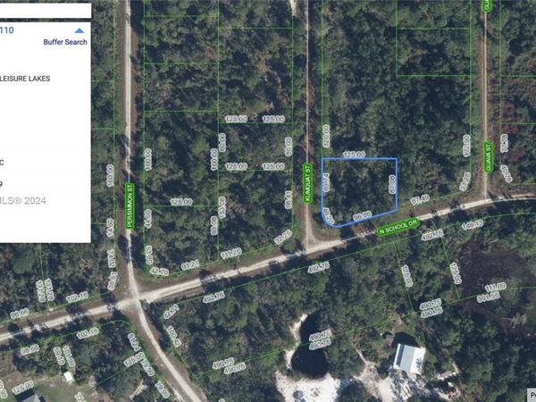 1245 KUMQUAT ST, Lake Placid, FL 33852
