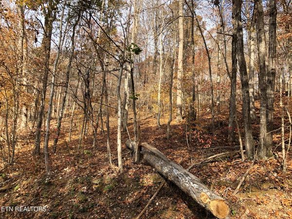 Lot 51 Harbor Lane, LaFollette, TN 37766