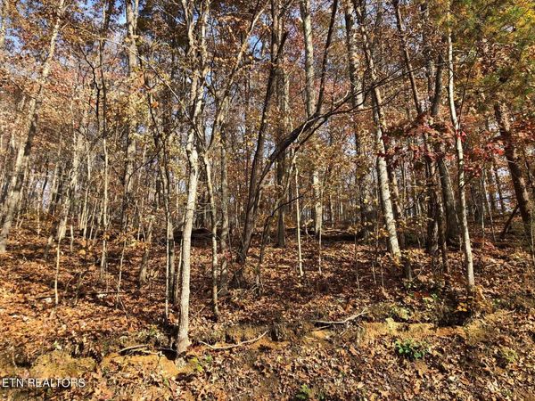 Lot 52 Harbor Lane, LaFollette, TN 37766