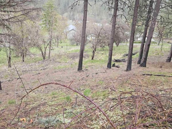 TBD May St Blk 56, Lot 6, Peck, ID 83545