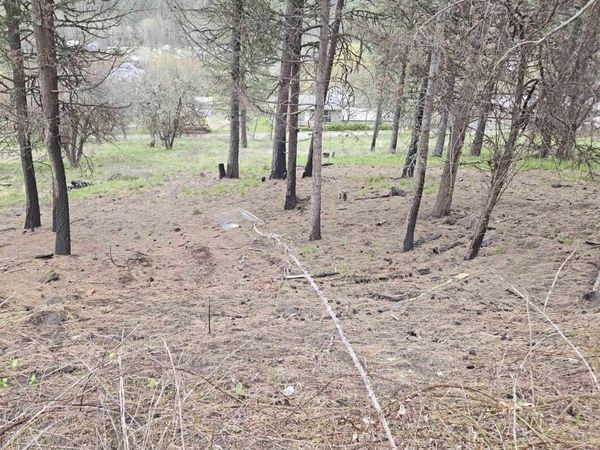 TBD May St Blk 56, Lot 7, Peck, ID 83545