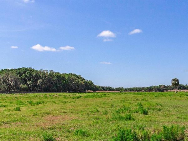 419 JAMESON ROAD, LITHIA, FL 33547