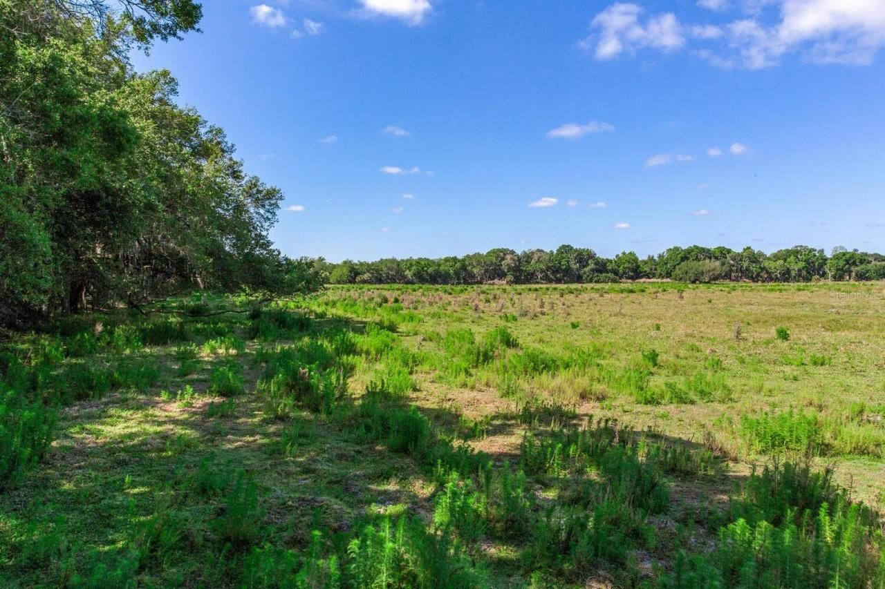 419 Jameson Road, Lithia, FL 33547 Photo