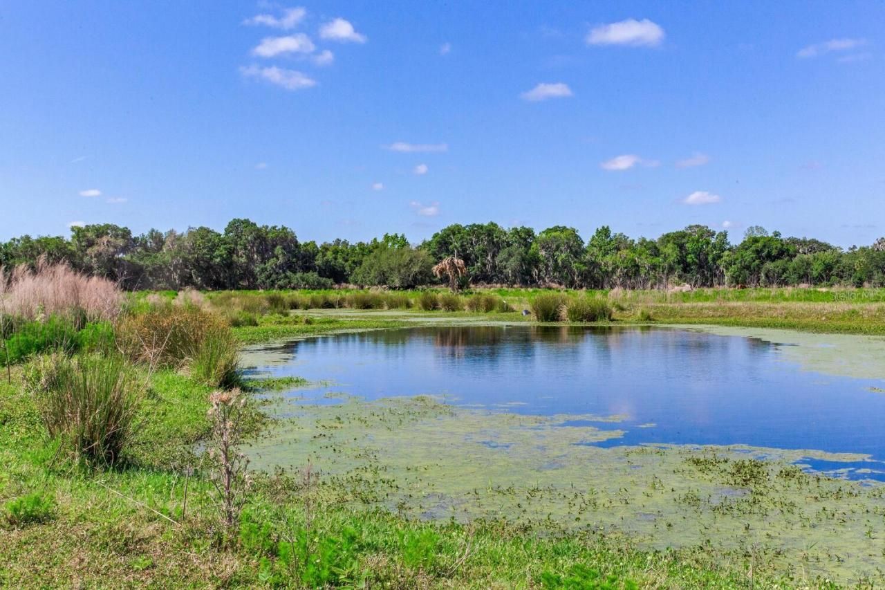 419 Jameson Road, Lithia, FL 33547 Photo