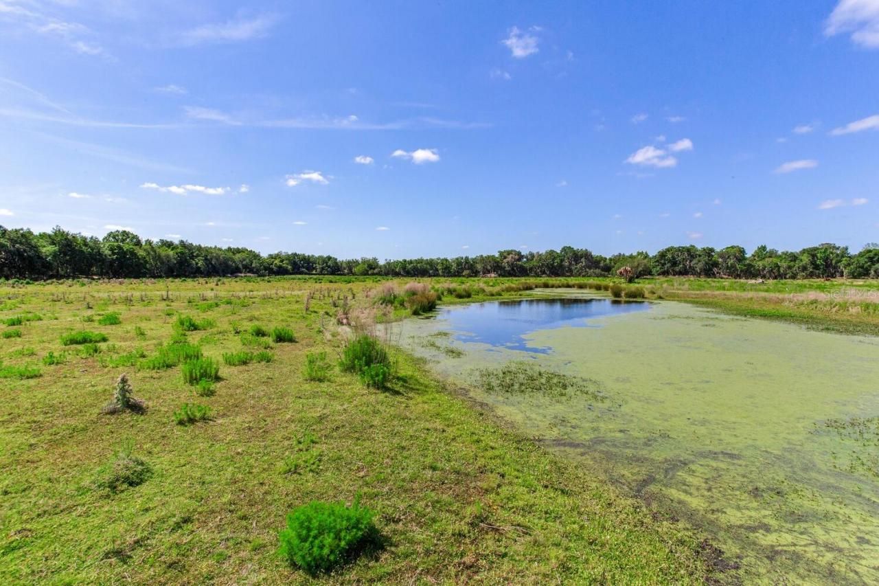 419 Jameson Road, Lithia, FL 33547 Photo