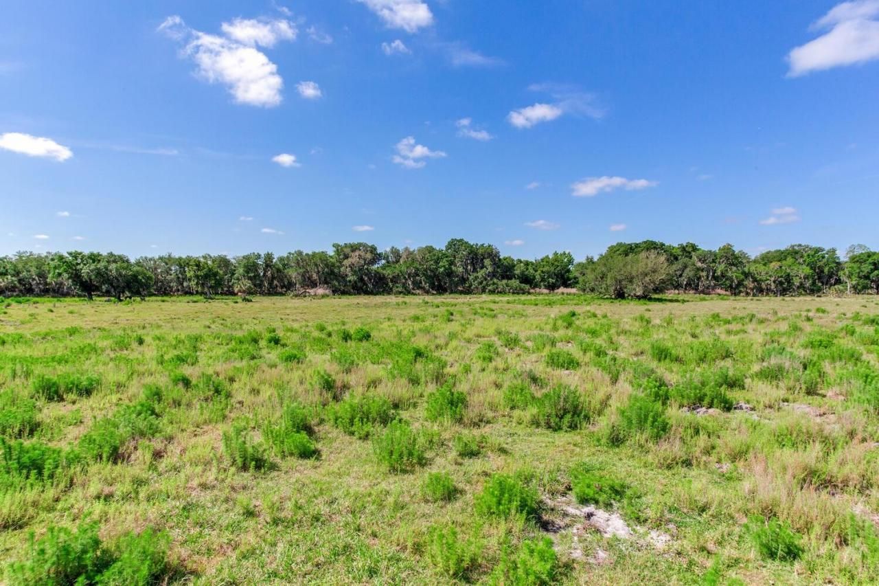 419 Jameson Road, Lithia, FL 33547 Photo