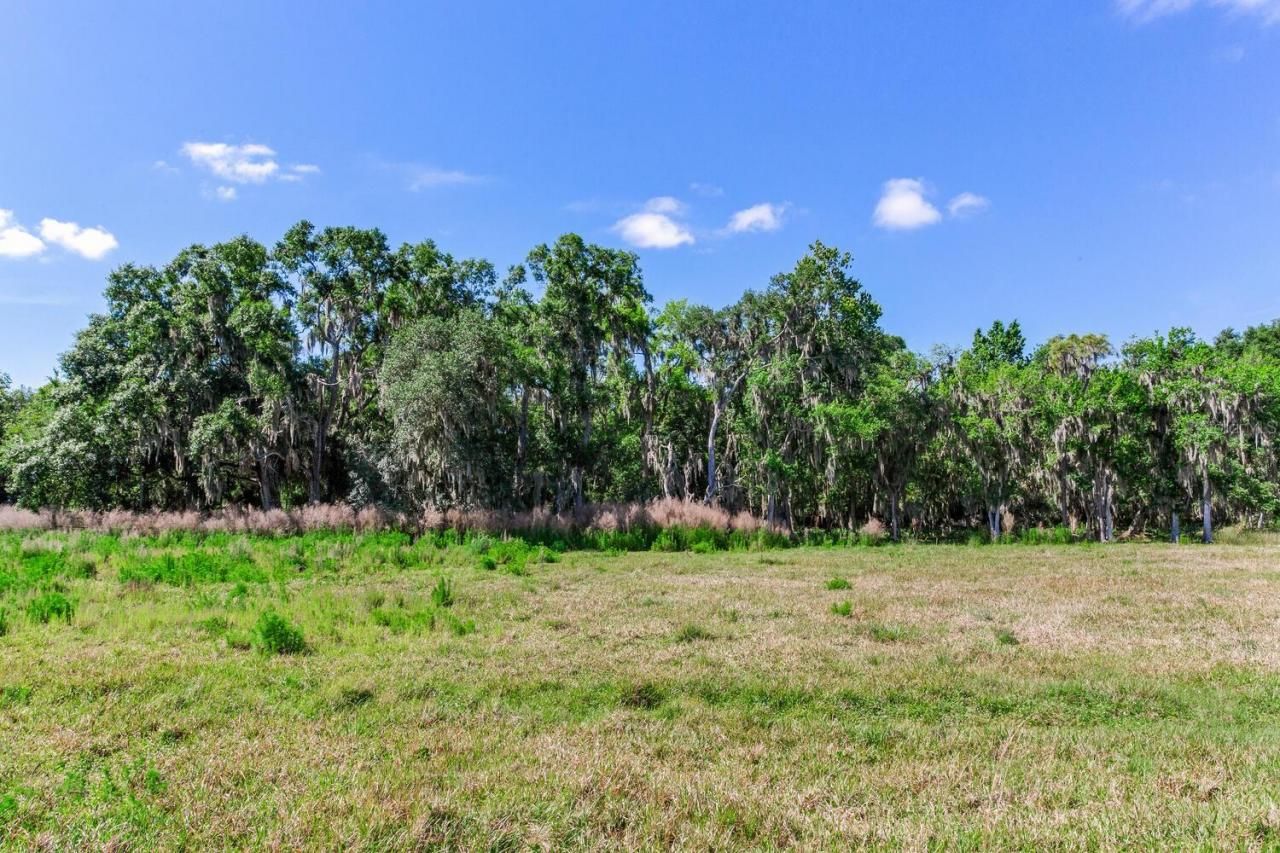 419 Jameson Road, Lithia, FL 33547 Photo