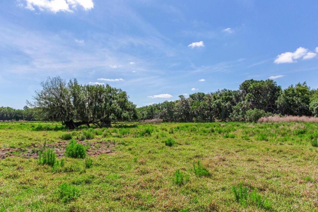 419 Jameson Road, Lithia, FL 33547 Photo