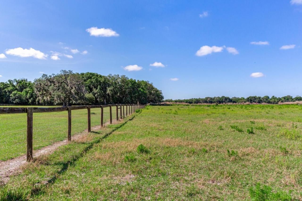 419 Jameson Road, Lithia, FL 33547 Photo