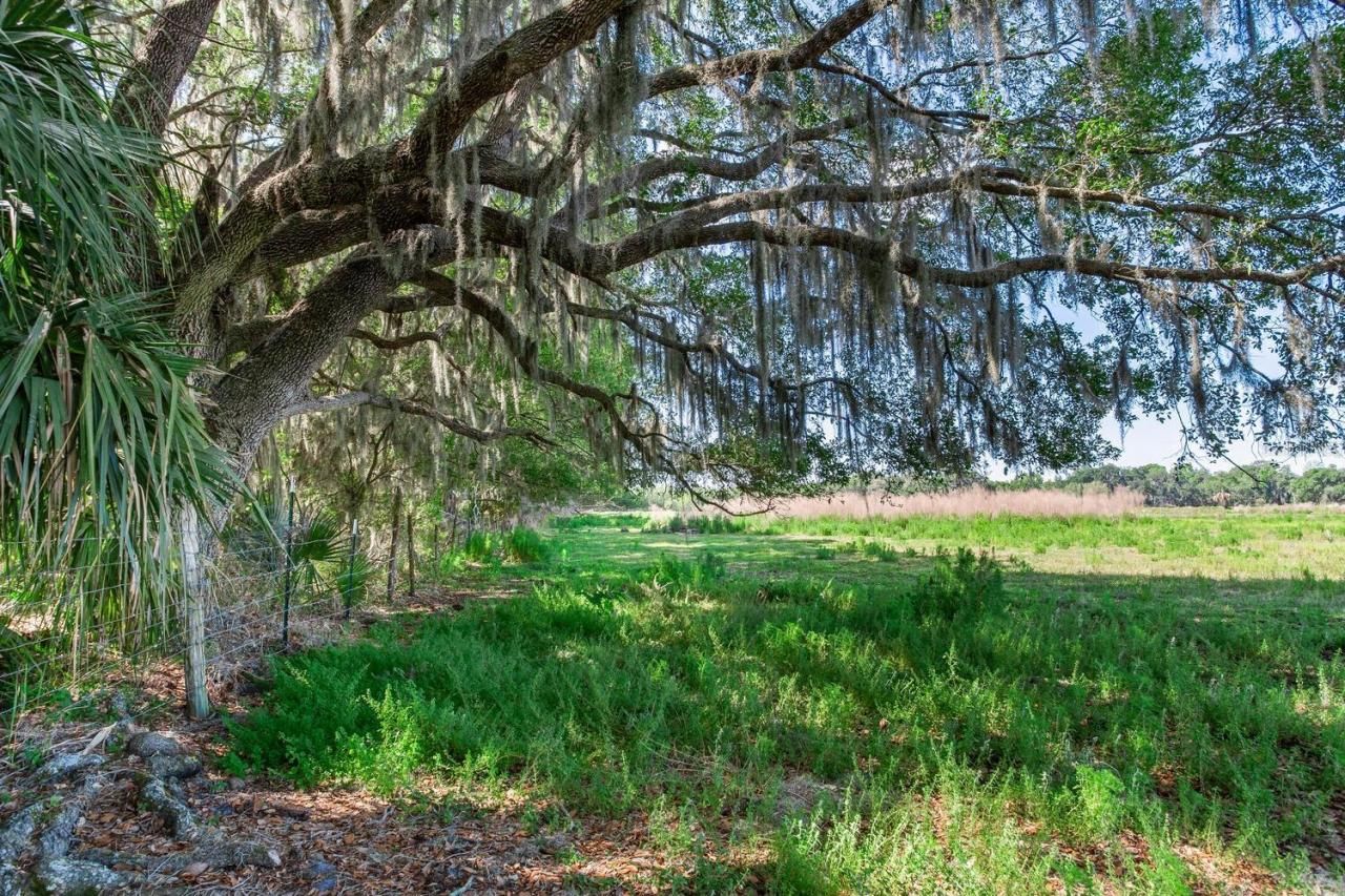 419 Jameson Road, Lithia, FL 33547 Photo