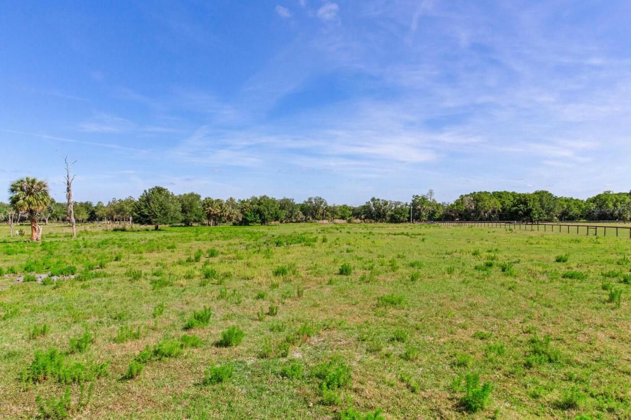 419 Jameson Road, Lithia, FL 33547 Photo