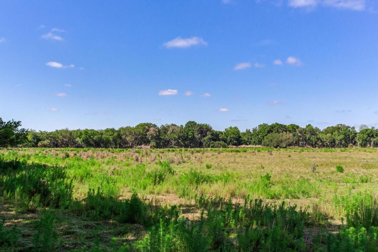 419 Jameson Road, Lithia, FL 33547 Photo