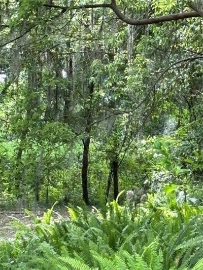 Grand Avenue, Deland, FL 32720 Main Photo