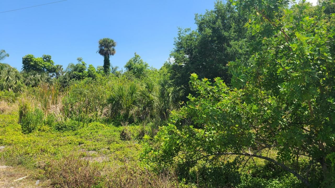 1790 Palm Bay Road Ne, Palm Bay, FL 32905 Photo