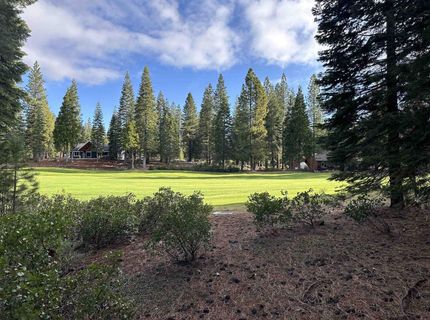 74 Idylberry Drive, Lake Almanor, CA 96137 Photo