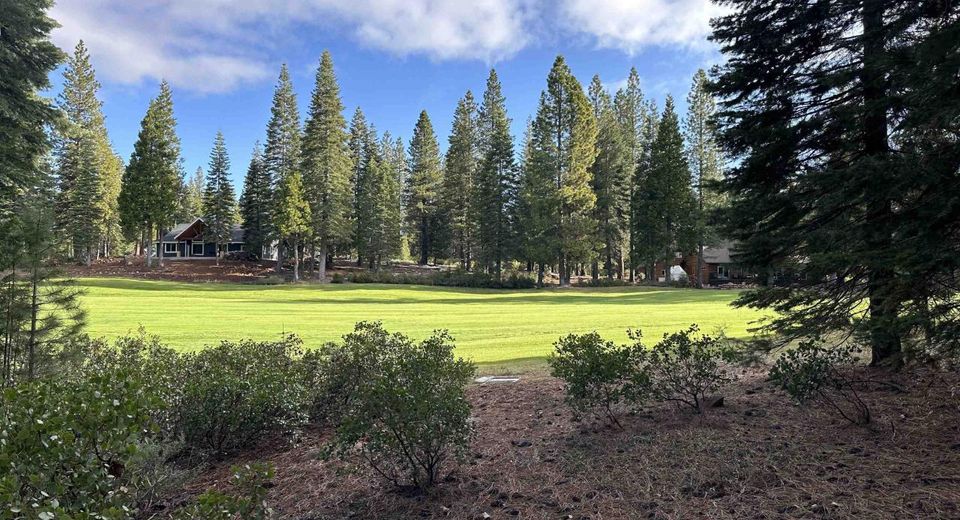 74 Idylberry Drive, Lake Almanor, CA 96137 Photo