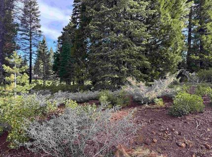 74 Idylberry Drive, Lake Almanor, CA 96137 Photo