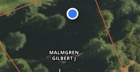 74 Idylberry Drive, Lake Almanor, CA 96137 Photo