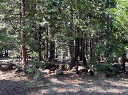 619 Clifford Trail, Lake Almanor, CA 96137 Photo