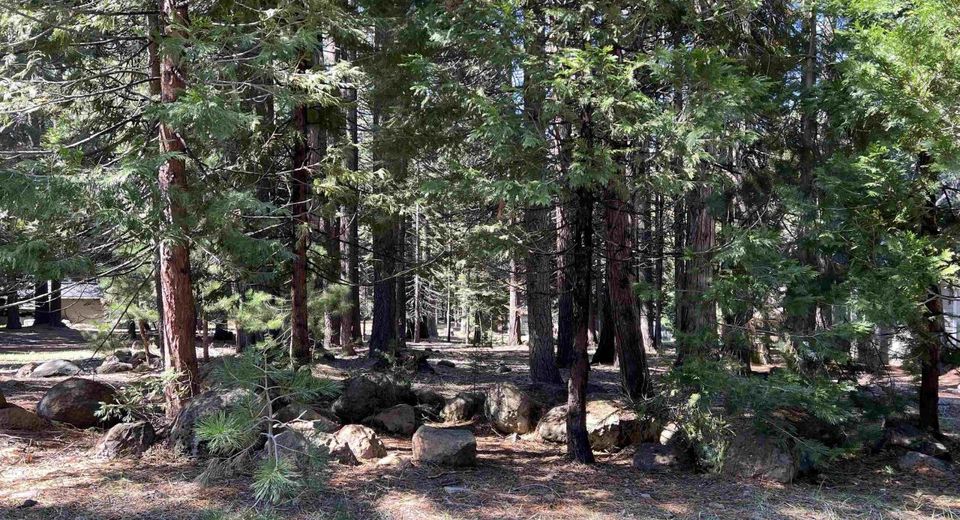 619 Clifford Trail, Lake Almanor, CA 96137 Photo